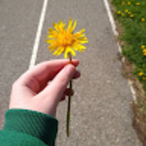 Meet your Posher, Brooklyn